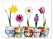 Note Card Cafe All Occasion Greeting Cards with White Envelopes | 36 Pack | Bloom Where You're Planted Design | Blank Inside, Glossy Finish | for Greeting Cards, Occasions, Birthdays