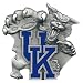 Kentucky Wildcats Hitch Cover Class - NCAA College Athletics - Fan Shop Sports Team Merchandise