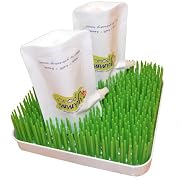 Grass Countertop Drying Rack