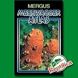 Meerwasser Atlas, Kst, Bd.2, Wirbellose Tiere