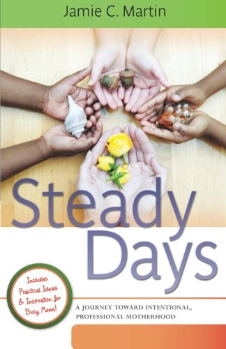 steady days a journey toward intentional professional motherhood