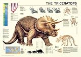 Poster The Triceratops - Rolled