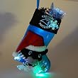 Carolina Panthers Mascot Fiber Optic Stocking