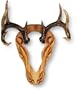 King� Skull Trophy Mount