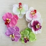 6pcs Orchid