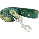South Florida Bulls Green 6' Dog Leash