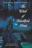 The Witch of Blackbird Pond