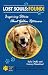 golden_retriever29golden retriever - Lost Souls FOUND Inspiring Stories About Golden Retrievers