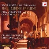 German Baroque Cantatas Vol. 2