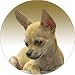 CHIHUAHUA DOG Fridge Magenet