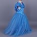 2015 New Cinderella Butterfly Party Dress Costume with Accessories