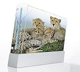 Cheeta Family Time Decorative Protector Skin Decal Sticker for Nintendo Wii ....