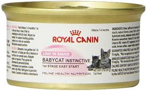 Royal Canin Canned Cat Food, Babycat Formula (Pack of 24 3-Ounce Cans)
