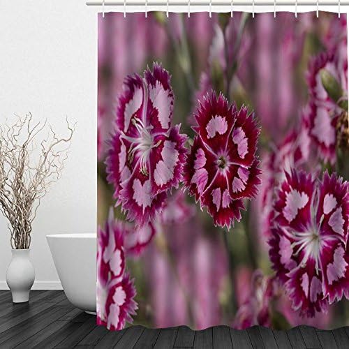 Tiraone Cranberry Ice Dianthus Waterproof Polyester Fabric Custom Shower Curtain 72" x 80" Inches