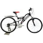 Raleigh Rocker