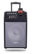80-Watt Wireless Pa System With Ipod Dock