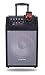 80-Watt Wireless Pa System With Ipod Dock