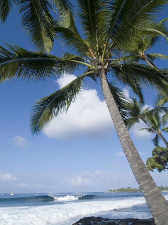 Beach at Kailua-Kona poster