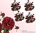 FOUR 23" Dahlia Artificial Flower Bushes in Cerise 2 Tone for Home,Garden and Decoration