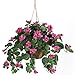 Nearly Natural 6608 24in. Bougainvillea Hanging Basket Silk Plant