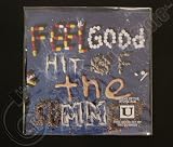 Feel Good Hit of the Summer [Vinyl]