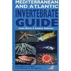 Mediterranean and Atlantic Invertebrate Guide: From Spain to Turkey, from Norway to the Equator