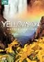 Yellowstone: Battle for Life