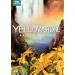 Yellowstone: Battle for Life