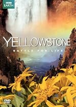 Yellowstone: Battle for Life