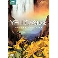 Yellowstone: Battle for Life
