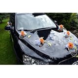 Autoschmuck Rattan Feder Autodeko Hochzeit Dekor Verschiedene Variante Komplett (Orange, Basis)von "APM"