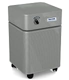 Austin Air HealthMate - Silver
