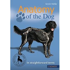 Anatomy of the Dog: In Straightforward Terms