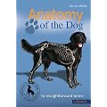 Anatomy of the Dog: In Straightforward Terms