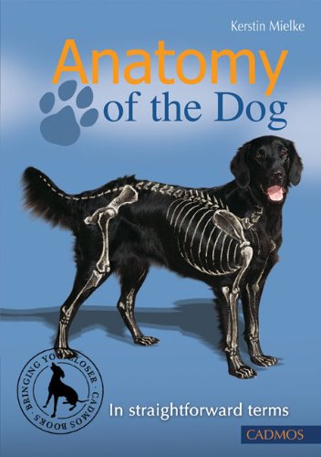 anatomy of the dog in straightforward terms