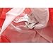 Kids Girls Princess Rose Garden Flower Petal Lace Ruffled Tulle Skirts Dresses