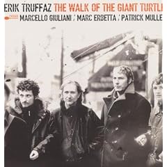 The Walk Of The Giant Turtle