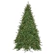 10' Pre-Lit Virginia Fir Christmas Tree - Multi Color Lights