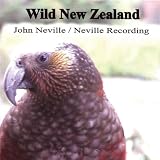 Song Thrush in the Wanganui River Flats