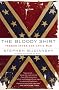 The Bloody Shirt: Terror After the Civil War