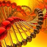 Wallmonkeys Peel and Stick Wall Decals - Dna Spiral - 24