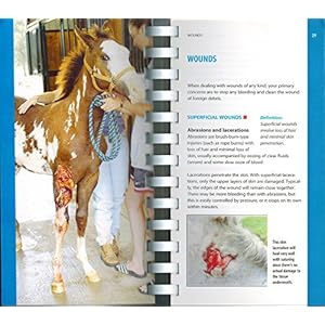 Dr. Kellon's Guide to First Aid for Horses 2nd Edition (2005)