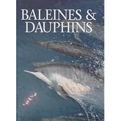 Baleines & dauphins - Portraits du monde animal