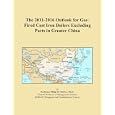The 2011-2016 Outlook for Gas-Fired Cast Iron Boilers Excluding Parts in Greater China'