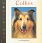 Dog Breeds: Collies (Appleseeds: Dog Breeds)