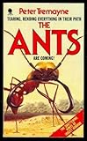The ants
