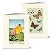 Note Card Cafe All Occasions Greeting Card with Envelopes | 36 Pack | Blank Inside, Glossy Finish | 12 Various Vintage Butterflies Designs | Assorted Set for Greeting Cards, Corporate, Friends
