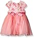 Rare Editions Baby Girls' lace to mesh social dress