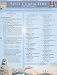 Bible Characters: New Testament (Quickstudy: Academic)