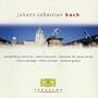 Panorama: Johann Sebastian Bach, Vol. 1